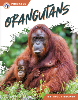 book cover for Orangutans