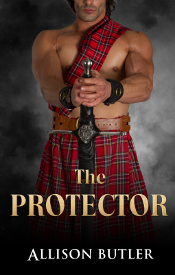 book cover for The Protector