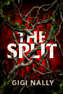 book cover for The Split