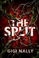 book cover for The Split
