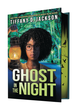 book cover for Ghost in the Night