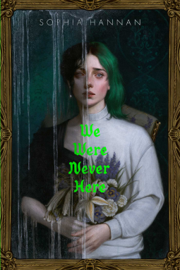 book cover for We Were Never Here