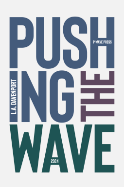 book cover for Pushing the Wave 2024