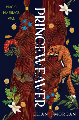 book cover for Princeweaver