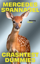 Buchcover für Crashtest Dummies