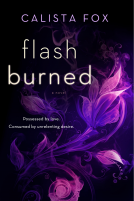 book cover for Flash Burned