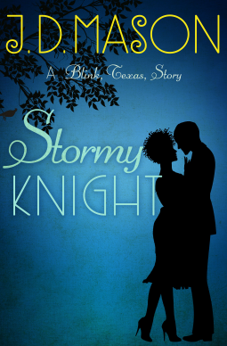 book cover for Stormy Knight