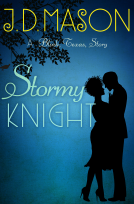 book cover for Stormy Knight