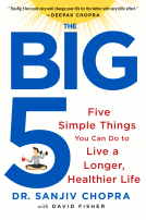 book cover for The Big Five