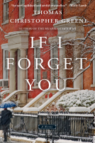 book cover for If I Forget You
