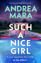 book cover for Such a Nice Girl