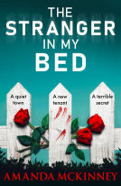 book cover for The Stranger in my Bed