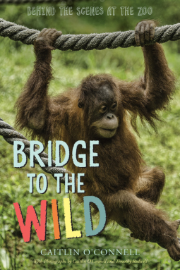 book cover for Bridge to the Wild