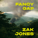 book cover for Fancy Gap