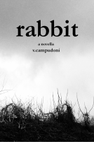 book cover for rabbit