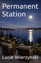 book cover for Permanent Station