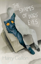 book cover for The Shapes Of Dogs’ Eyes