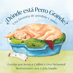 book cover for ¿Dónde está Perro Grande?