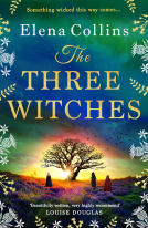 book cover for The Three Witches