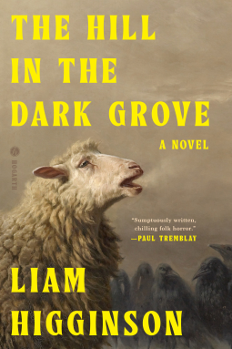 book cover for The Hill in the Dark Grove