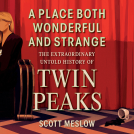 book cover for A Place Both Wonderful and Strange