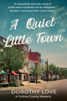 book cover for A quiet little town