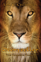 book cover for Storyteller