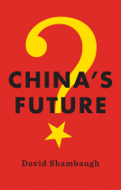book cover for China's Future