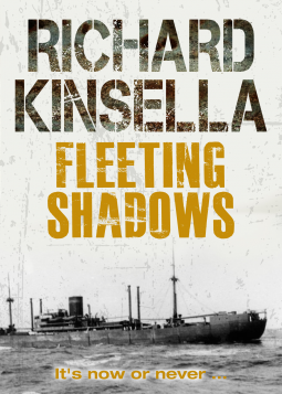 book cover for Fleeting Shadows