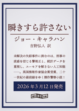 瞬きすら許さない 表紙