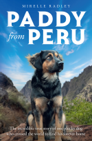 book cover for Paddy from Peru