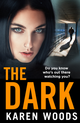 book cover for The Dark