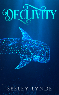 book cover for Declivity