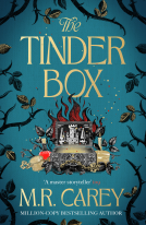 book cover for The Tinder Box