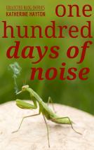 book cover for One Hundred Days of Noise