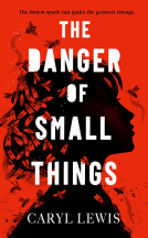 book cover for The Danger of Small Things