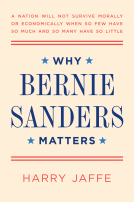 book cover for Why Bernie Sanders Matters