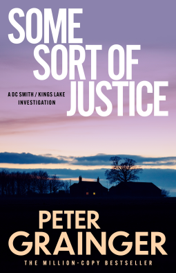 book cover for Some Sort of Justice