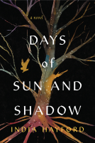 book cover for Days of Sun and Shadow