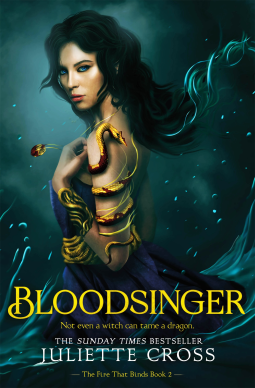 book cover for Bloodsinger