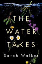book cover for The Water Takes
