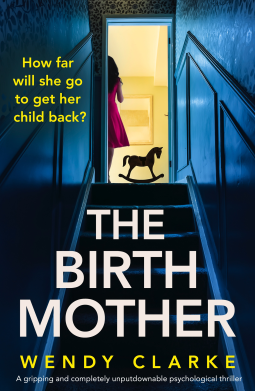 book cover for The Birth Mother