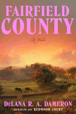 book cover for Fairfield County