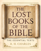 book cover for The Lost Books of the Bible