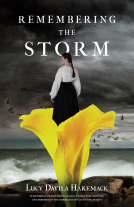 book cover for Remembering the Storm
