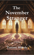 book cover for The November Stranger