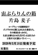 宙ぶらりんの箱 表紙