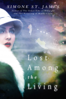 book cover for Lost Among the Living