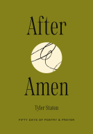 book cover for After Amen