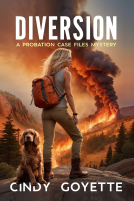 book cover for Diversion